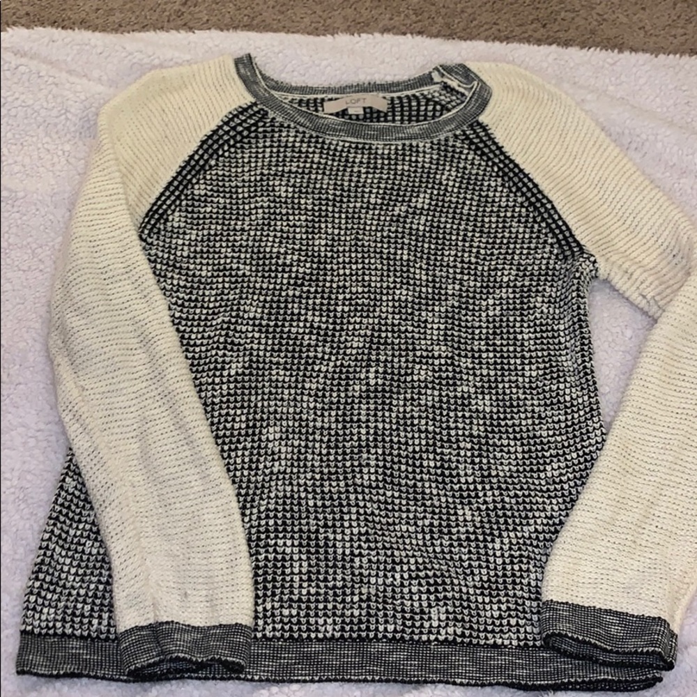 AnnTaylor Loft Sweater